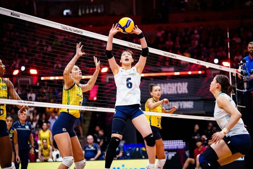 排的比赛中 排的比赛中