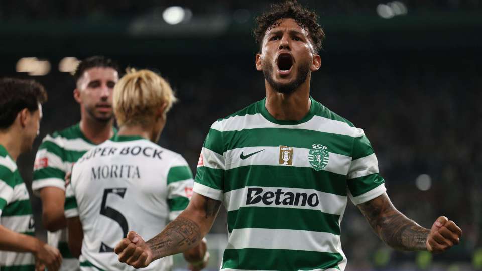 DiIjg, 各自在国内 DiIjg, 各自在国内