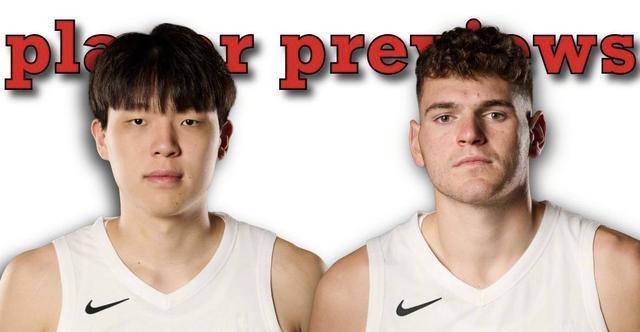 杨瀚森全面, amp 杨瀚森全面, amp